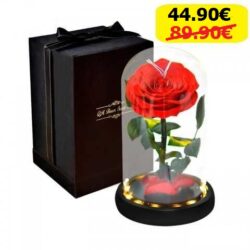 Вечна роза в стъкленица BEAUTY&THE BEAST RED, 27см