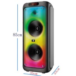 Караоке тонколона Brodu 2х10” с безжичен микрофон и дистанционно, лазерен и rgb светлинен ефект 6